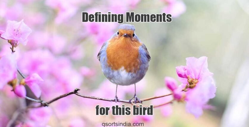 This is the Defining Moment of Every Bird's Life!