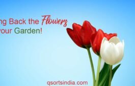 Bring Back the Flowers in your Garden!