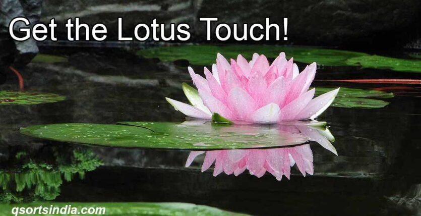 Apply These Secret Techniques to Grow a Lotus Within You!