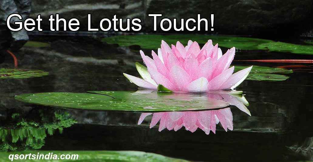 Apply These Secret Techniques to Grow a Lotus Within You!